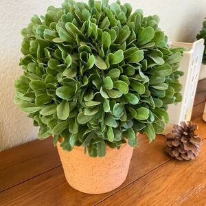 Prelit Pottery Barn Boxwood topiary